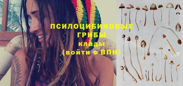 герыч Зеленодольск