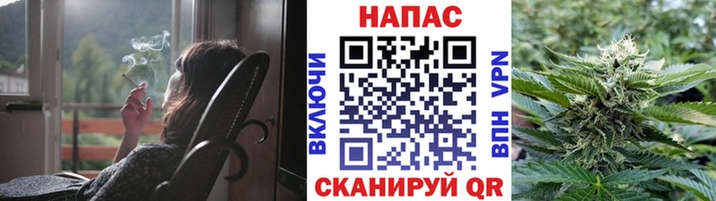 Каннабис ГИДРОПОН  Купить  Нелидово 
